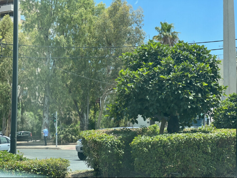 Οι παρεμβάσεις για να αλλάξει η εικόνα της Λ. Ποσειδώνος 